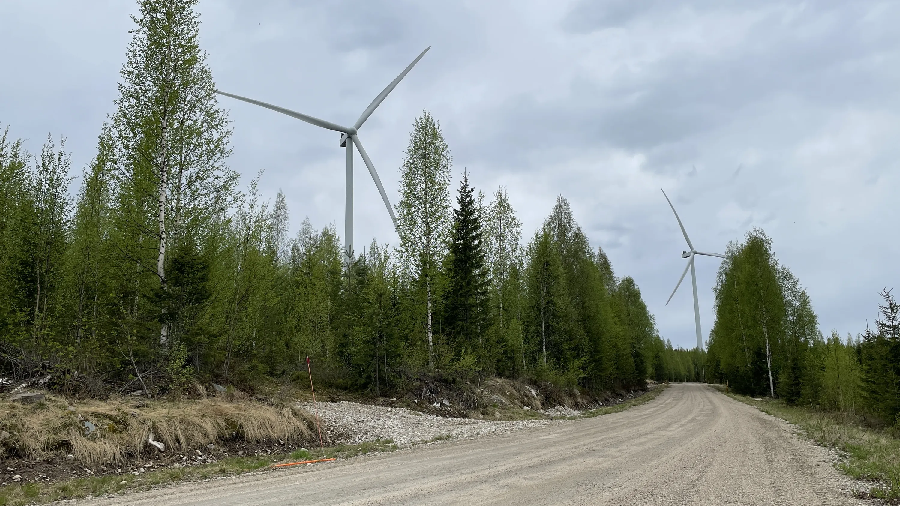 Sora tie kulkee metsämaisemassa, jossa kaksi tuulivoimalaa kohoaa puiden yläpuolelle pilvisenä päivänä.